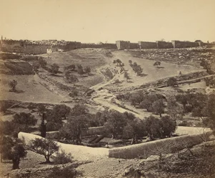 Jerusalem. Garten von Gethsemane